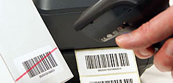 Barcode Duplizierer