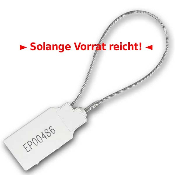 Kabelplombe Secure Key Ring