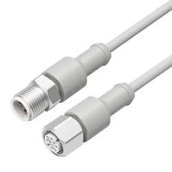 Binder Verbindungsleitung Stecker - Dose, M12A Serie 763 Kabel grau